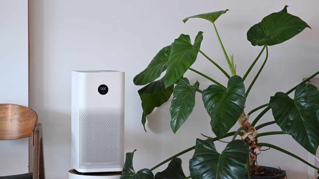Best Effective Natural Air Purifiers for Modern Homes